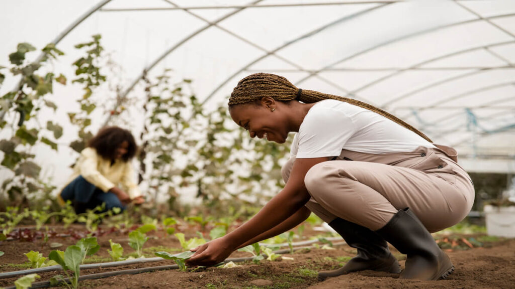 Elsenburg Agricultural Training Institute Bursary 2025 Elsenburg Agricultural Training Institute Bursary 2025