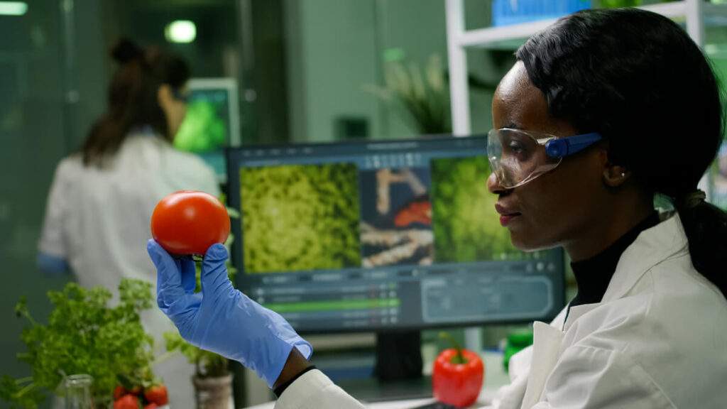 Ferrero Food Technology Internship 2024/2025 Ferrero Food Technology Internship 2024/2025