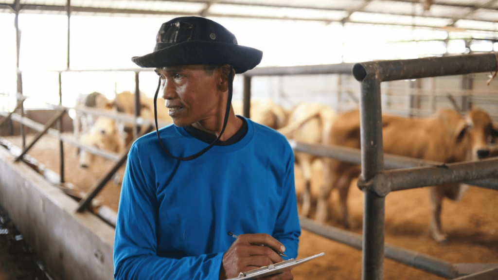 Livestock Commission Agent Vacancy at BKB Ltd Livestock Commission Agent