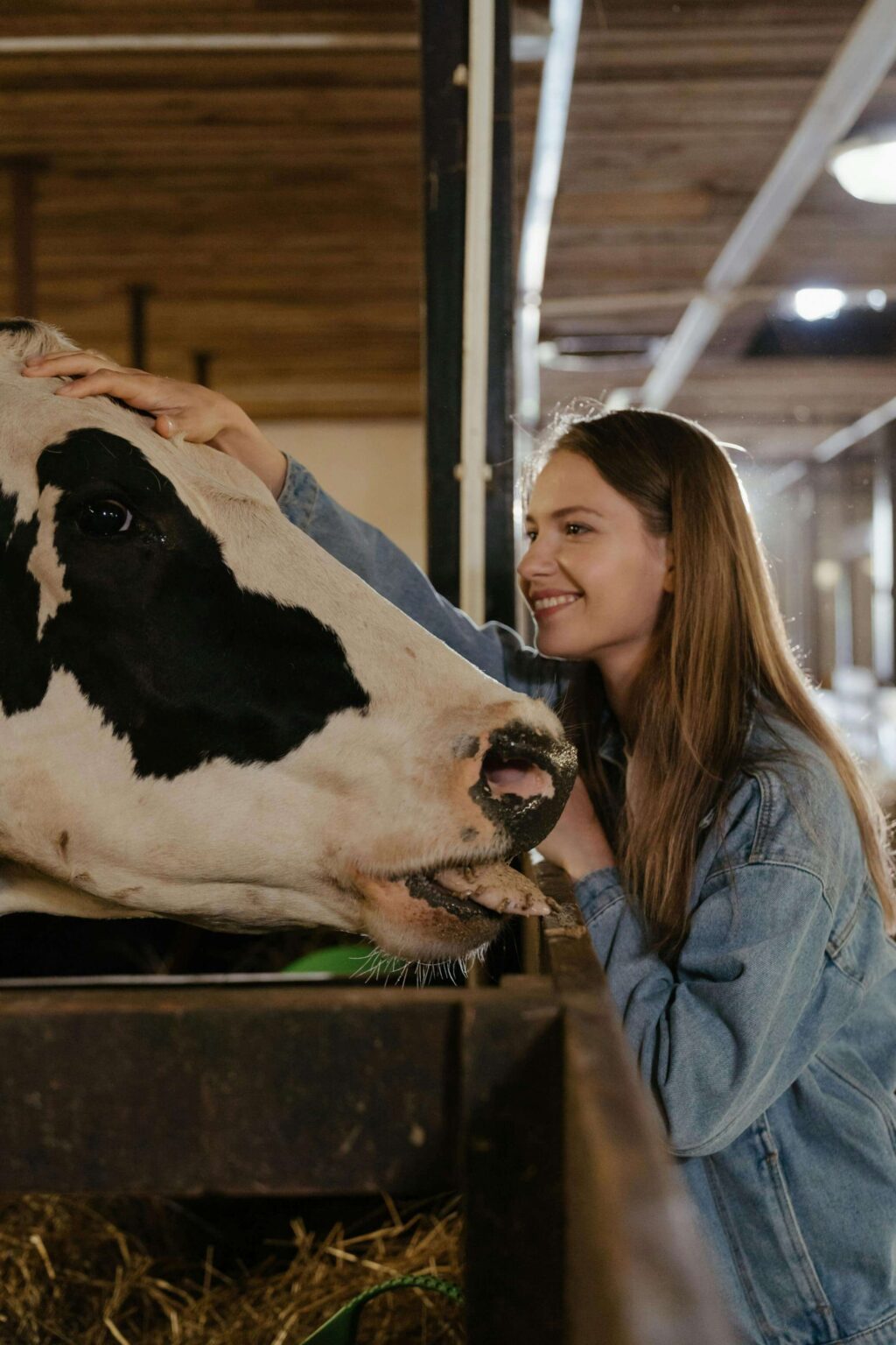 Beef Farm Manager