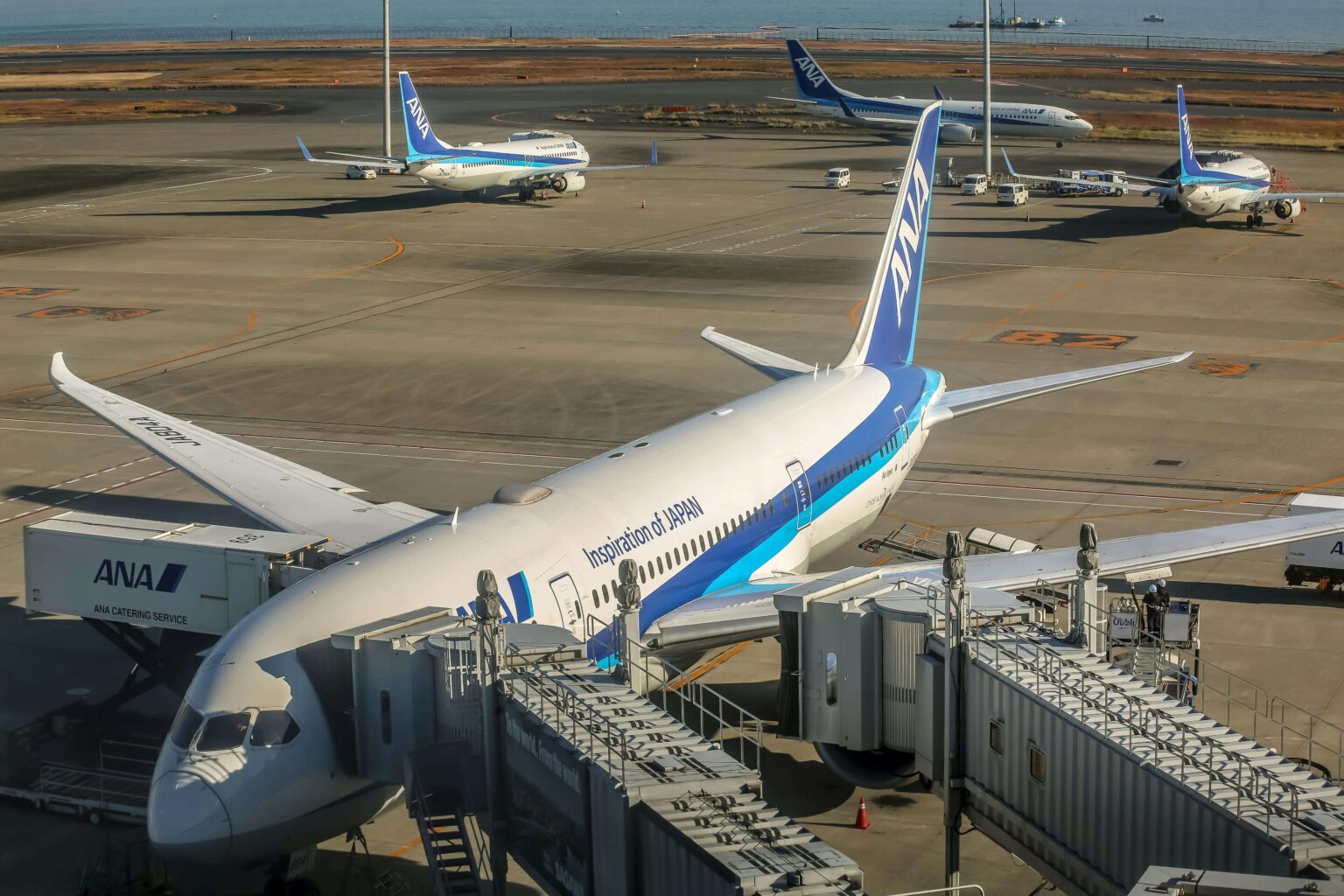 intersnhip programme wildlife