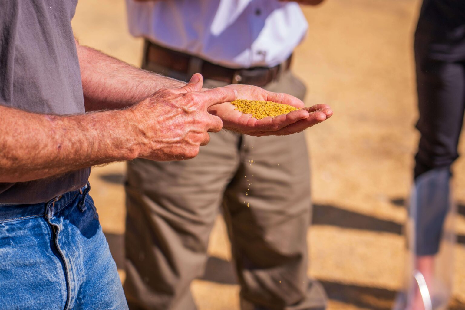 Assistant Manager: Grain Quality