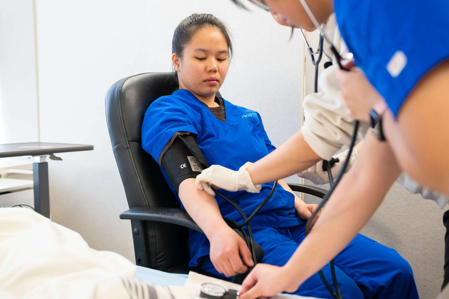 Clinical Preceptor (Bachelor of Nursing)