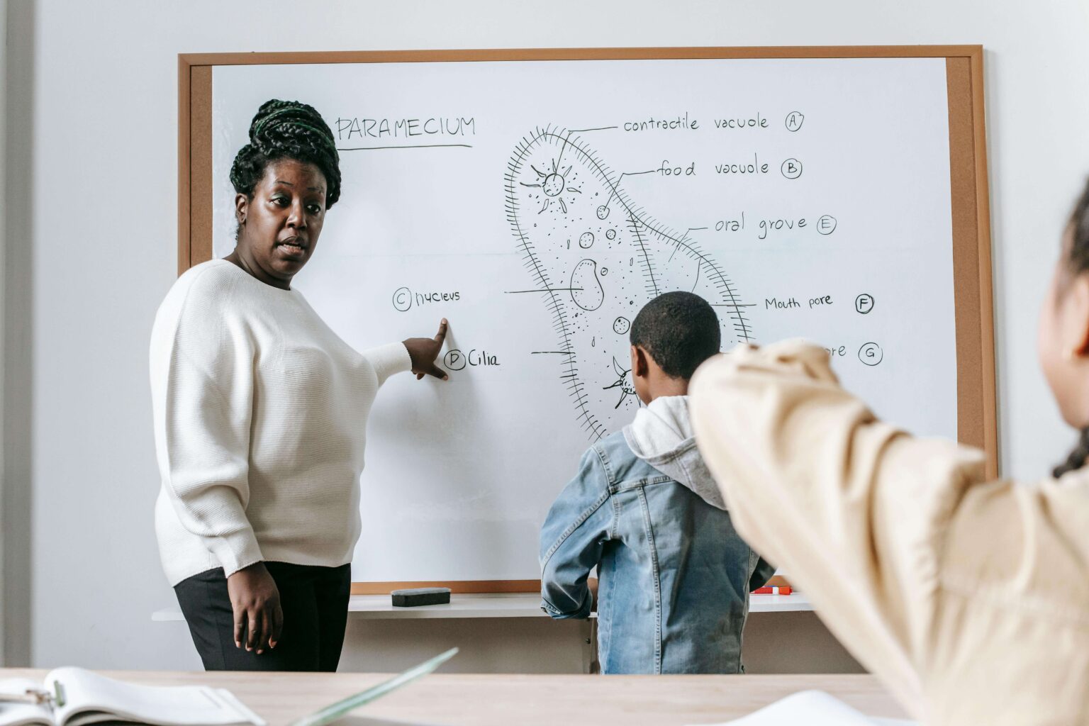 Lecturer – B.Ed. Honours (Life Science)