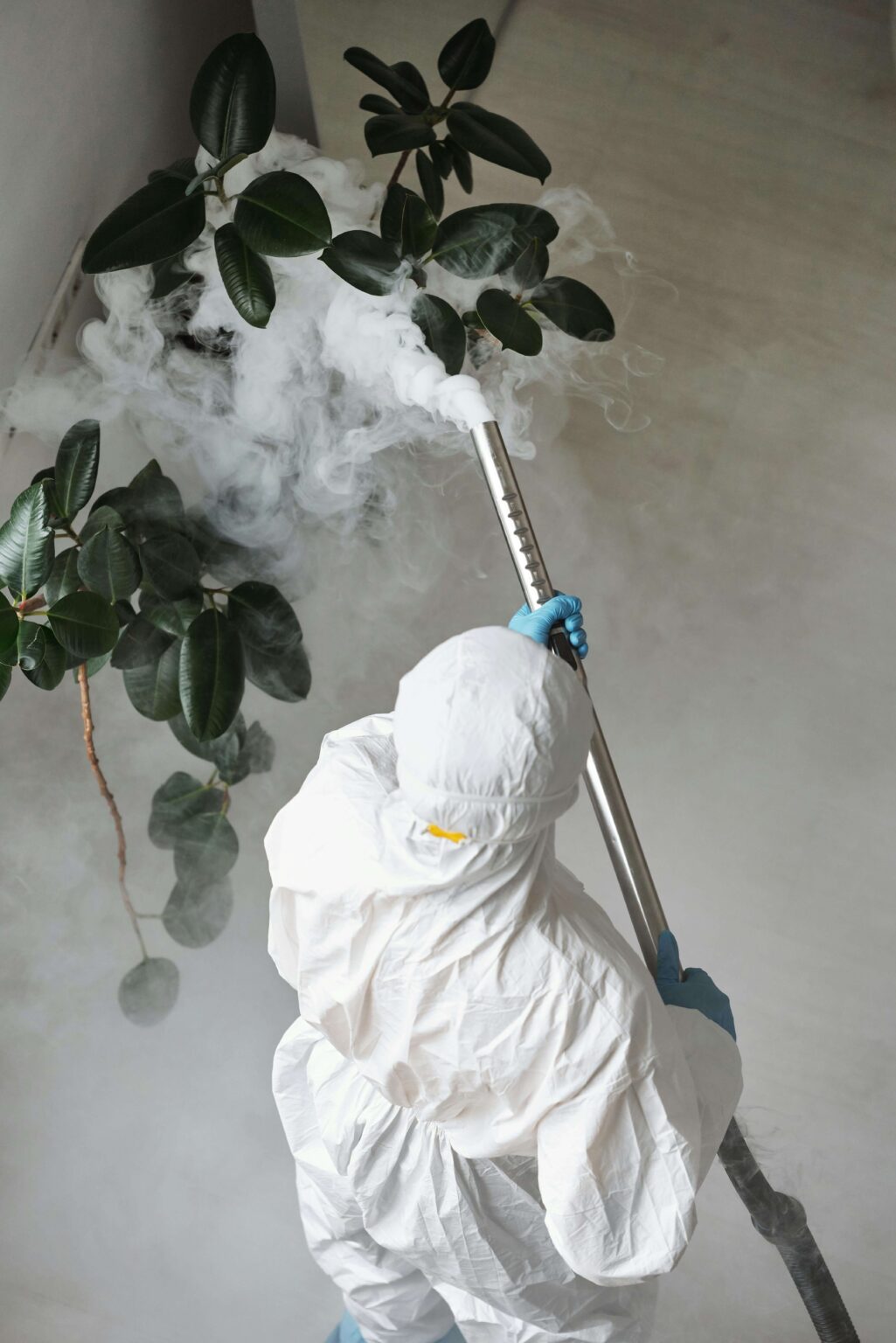Provision of Pest and Rodent Control Services