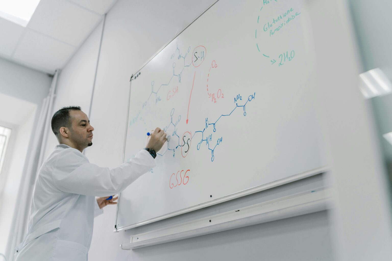 Lecturer B.Ed Honours (Natural Science)