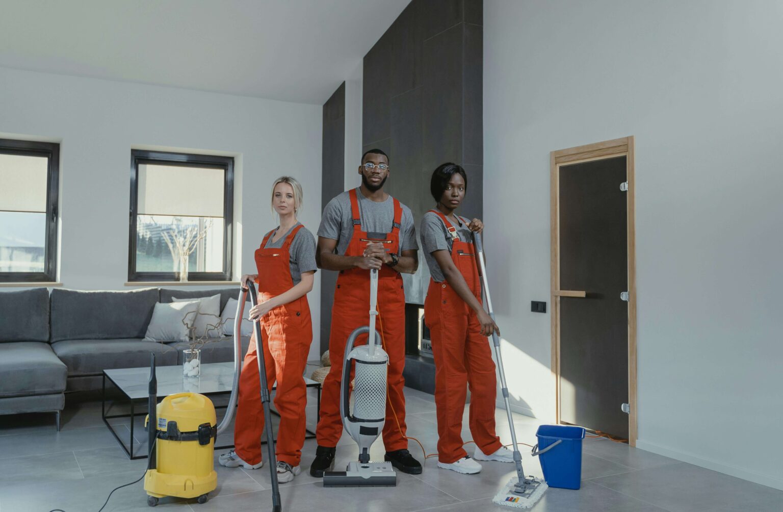 Cleaner