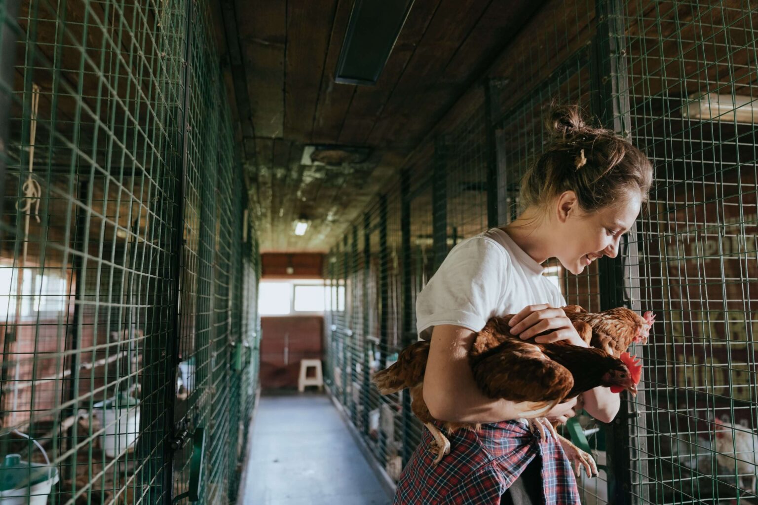 Breeder Farm Supervisor