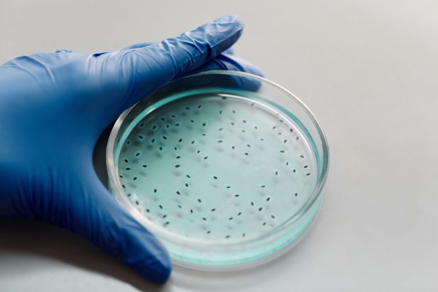 Postdoctoral Research Fellowship in Pathogen Genomics and Genomic Surveillance x2 Postdoctoral Research Fellowship in Pathogen Genomics and Genomic Surveillance