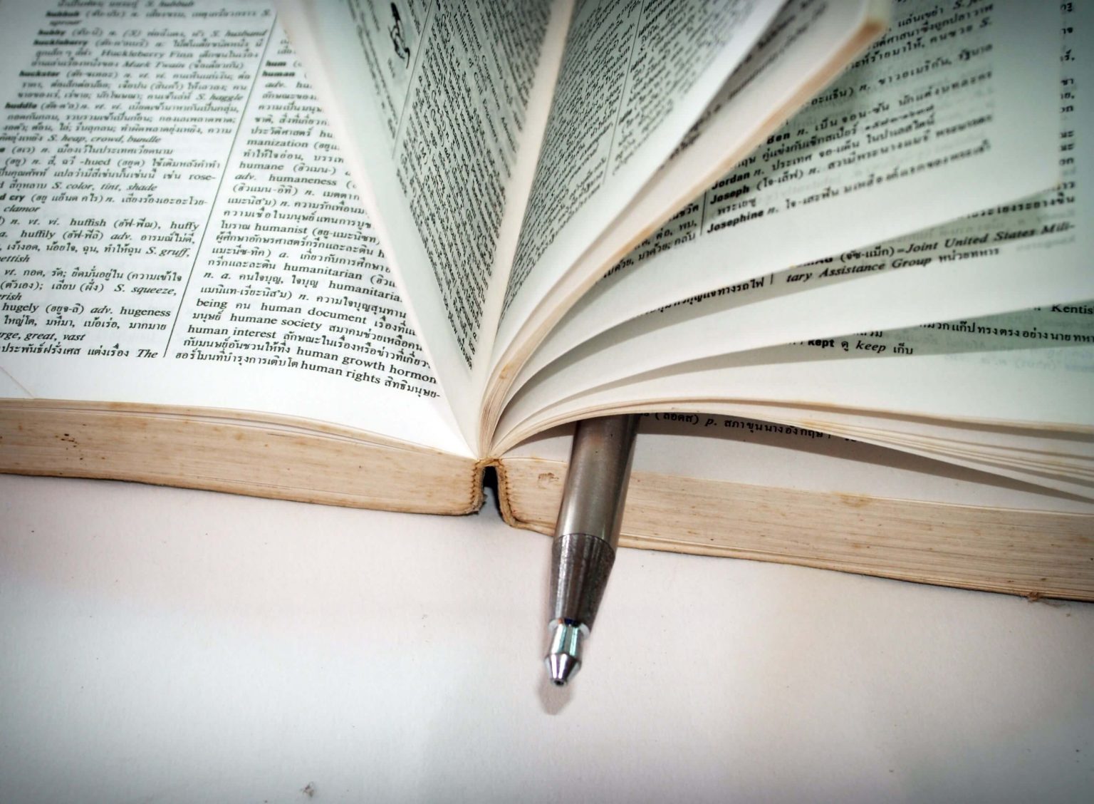 Academic Content Writer: Language