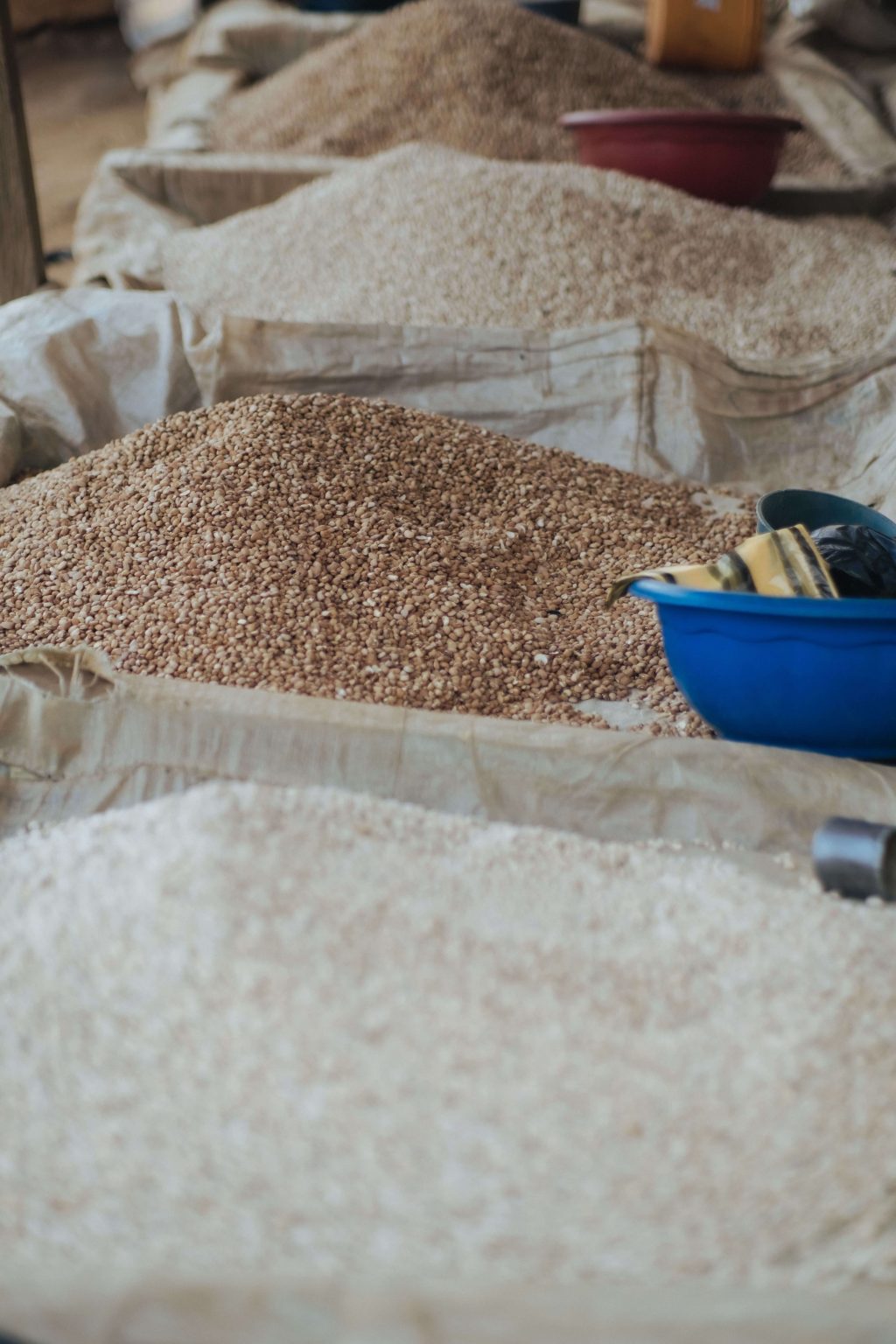 Grain Procurer- Bloemfontein x1 Grain Procurer