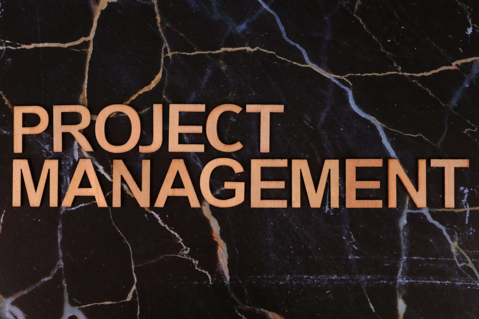 Graduate Internship Programme: Project Management Unit