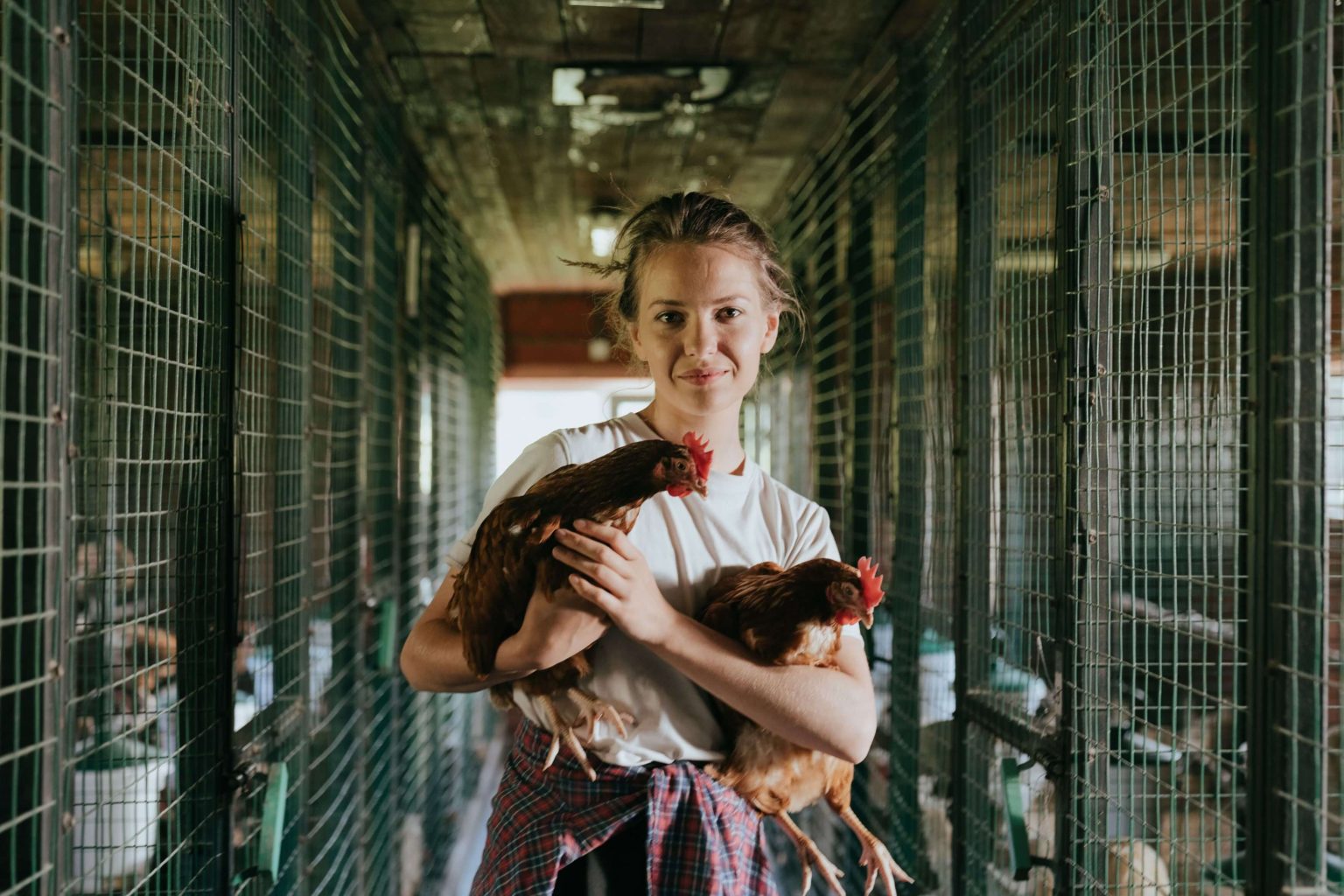 Breeder Farm Supervisor-Supreme Poultry