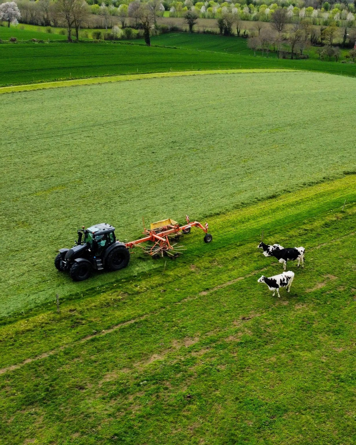 Executive Head: Agricultural Management Services x1 Executive Head: Agricultural Management Services