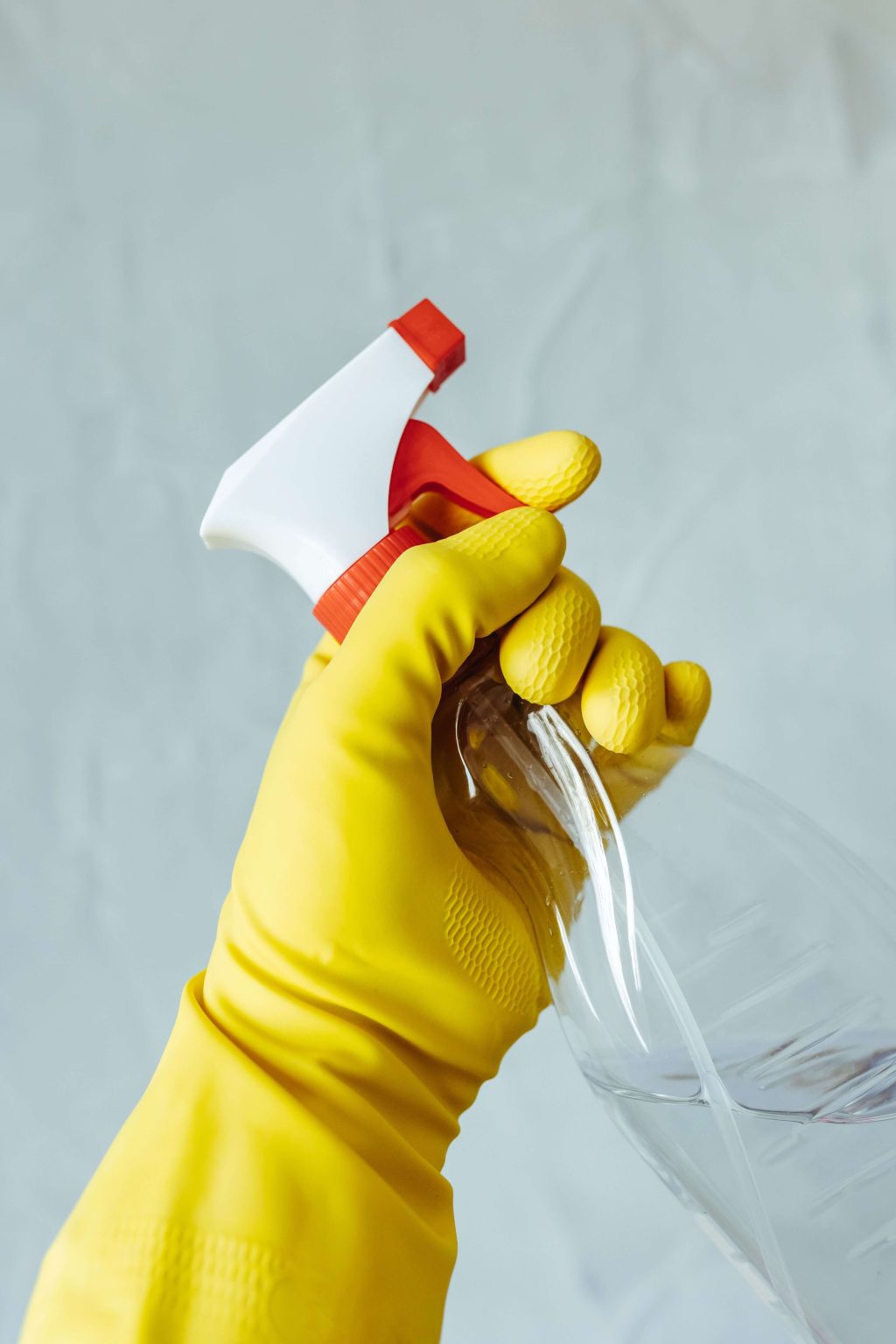 Cleaner x12 Cleaner