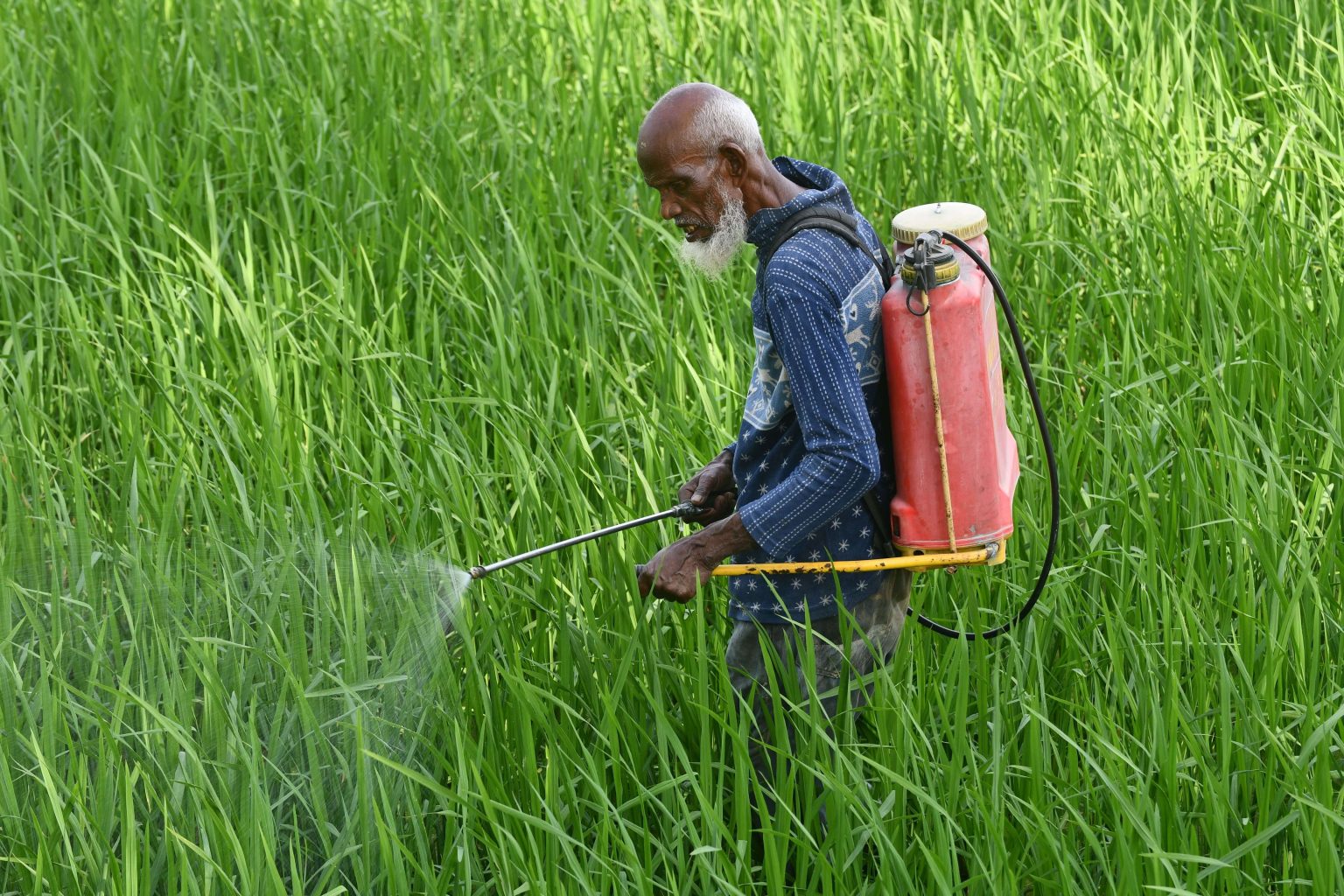 Herbicide Operator- University of the Free State x1 Herbicide Operator