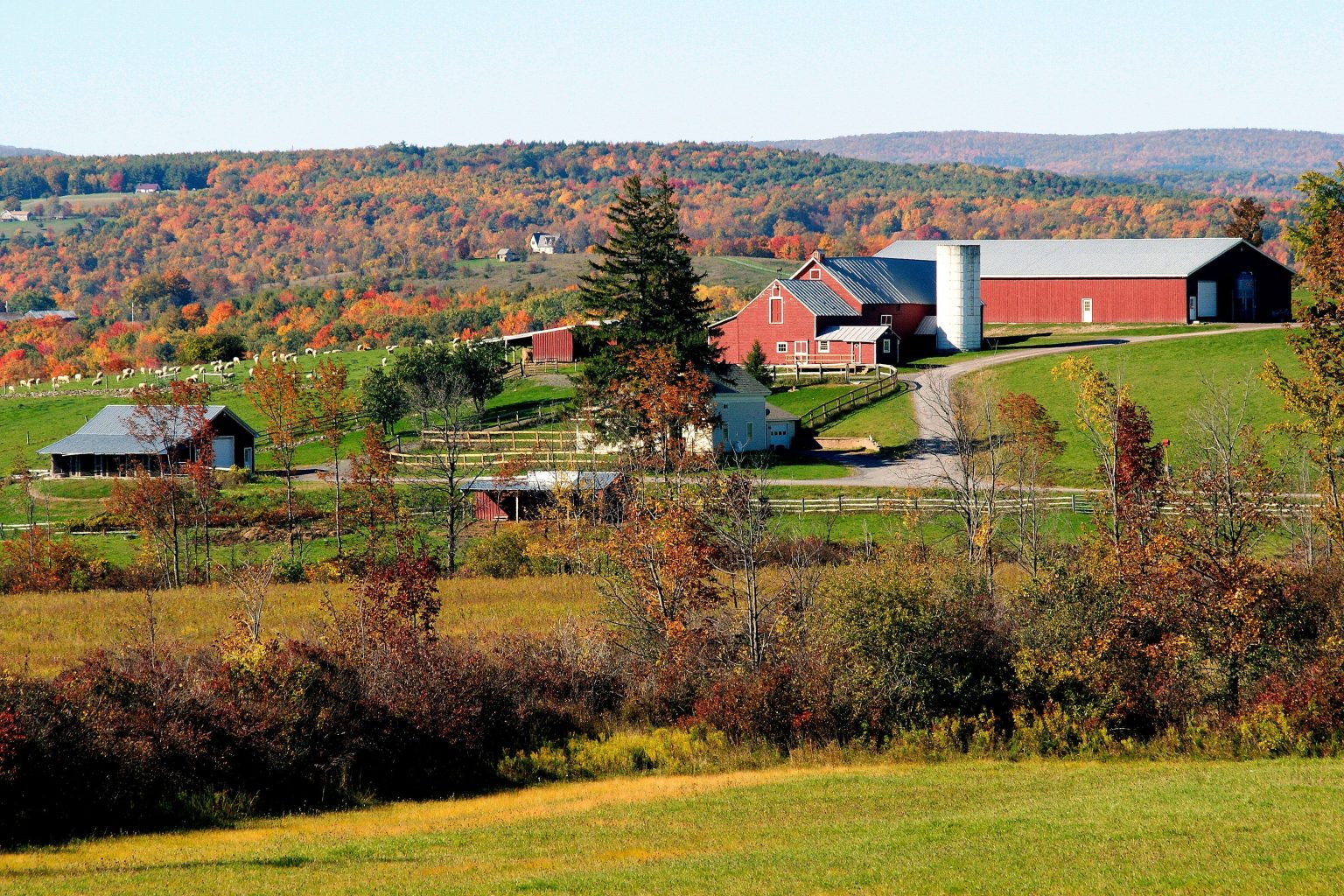 Principal: Glen College of Agriculture