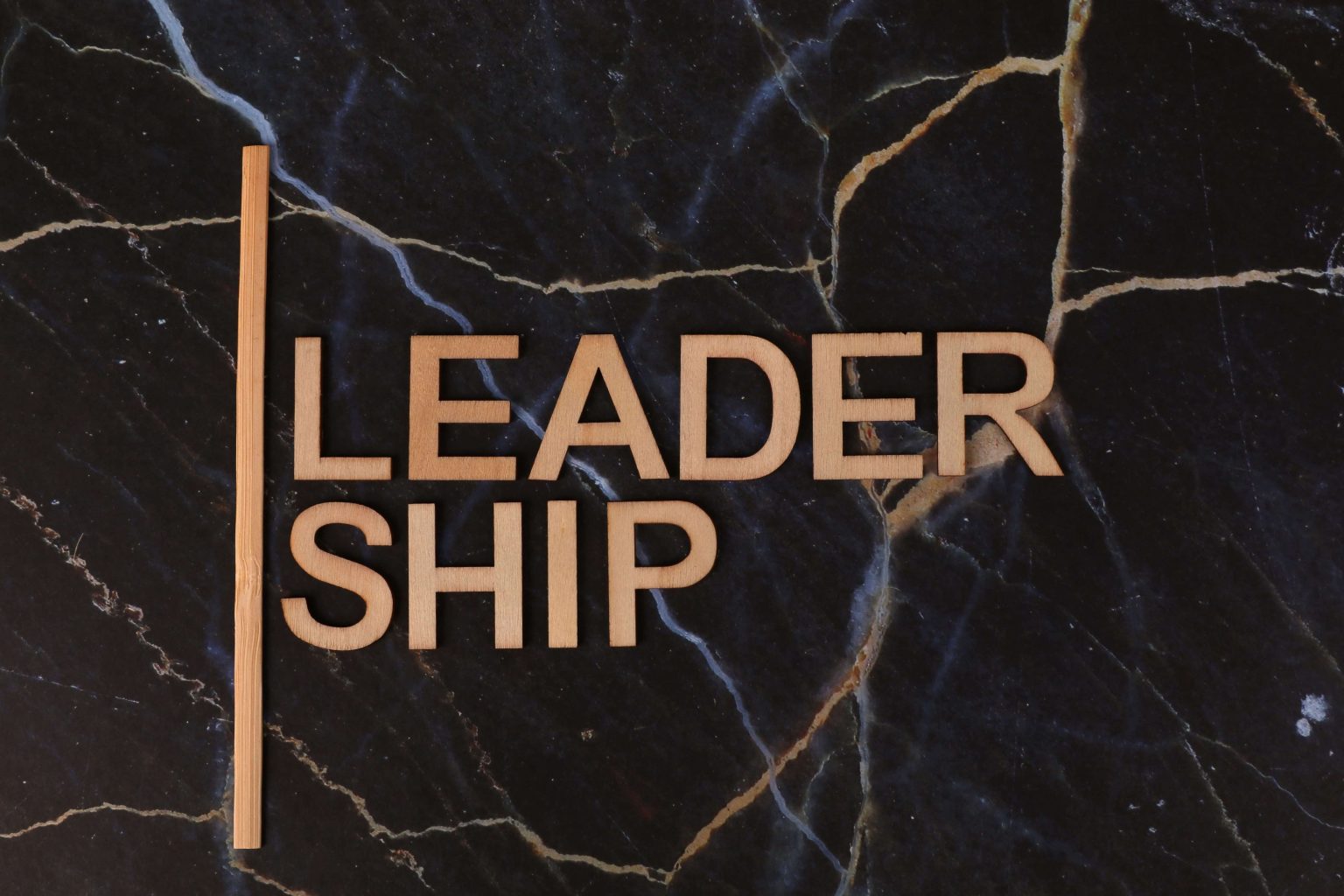 Leader Site- Eskom x1 Leader Site