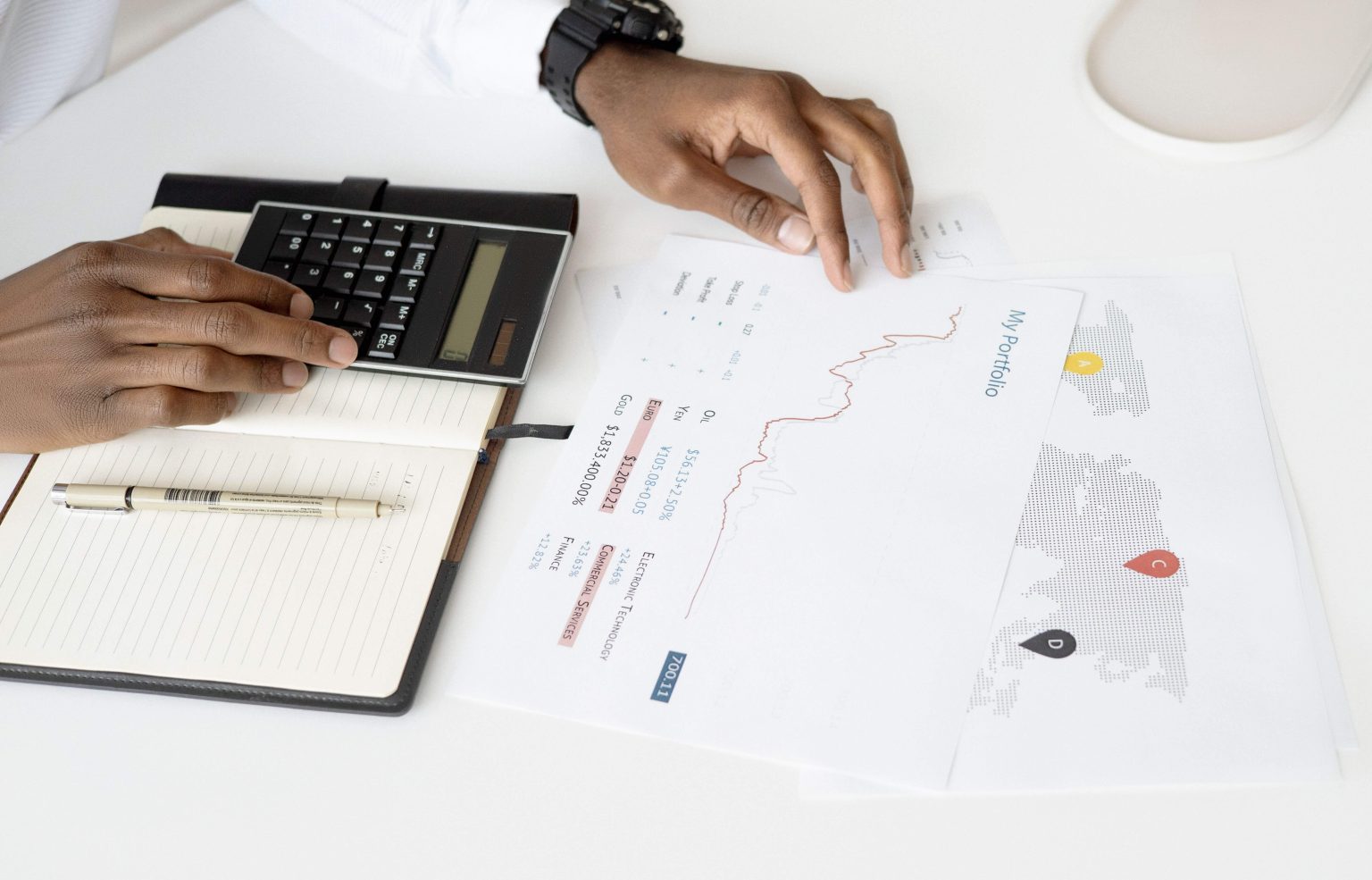 Statistical Officer