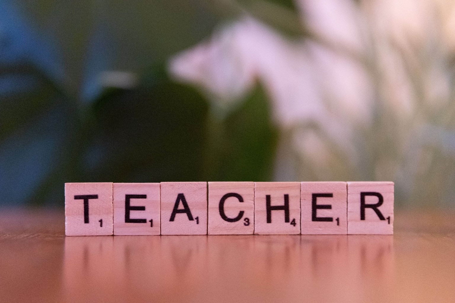 Professor: Childhood Education- University of the Free State x1 teacher