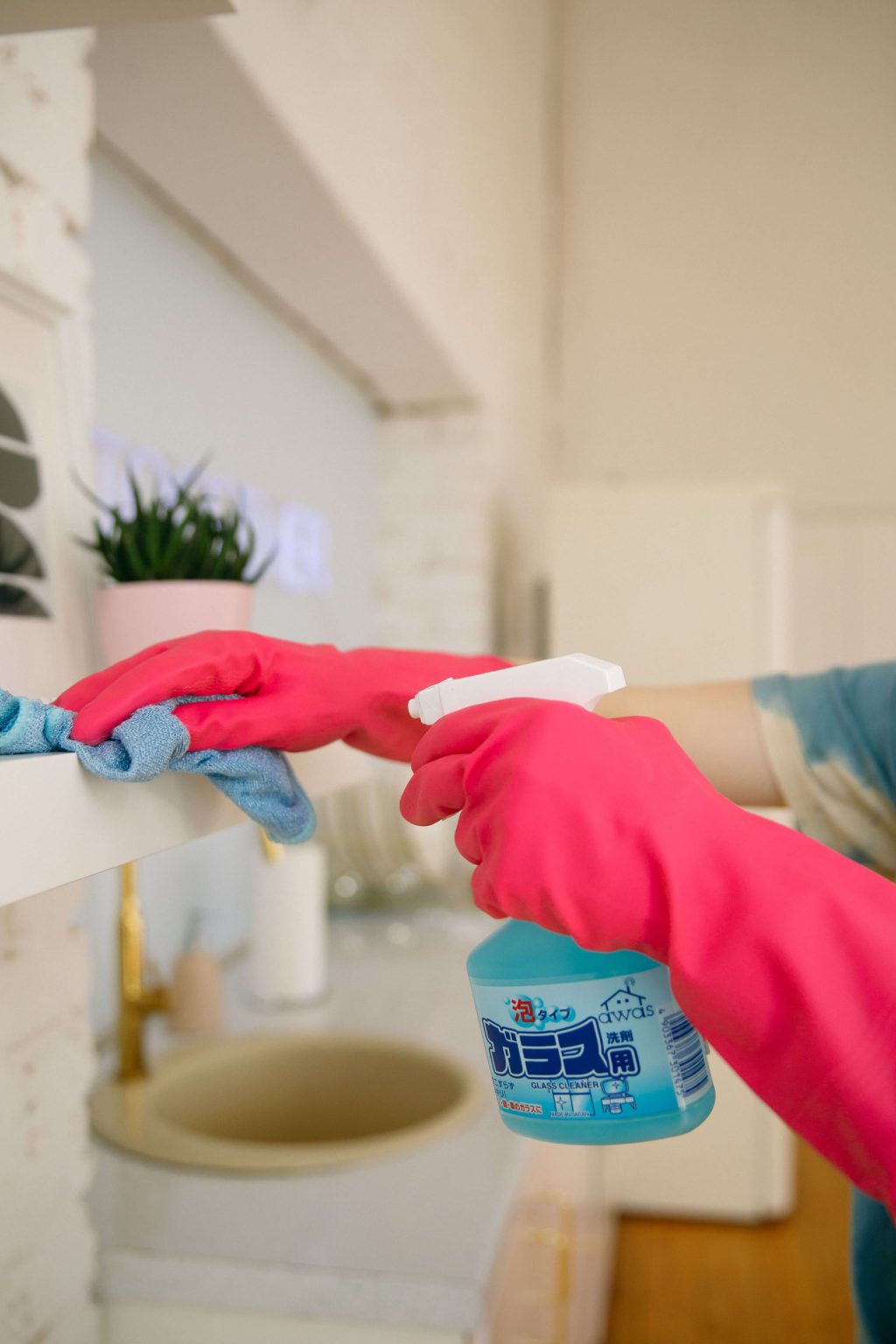 Cleaner- Department of Public Works x1 Cleaner