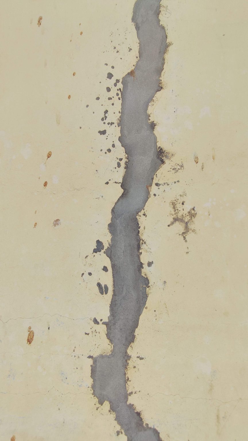 Repair Crack in Wall at Nuclear Medicine Annex and Replace Carpet 2026 Repair Crack in Wall at Nuclear Medicine Annex and Replace Carpet
