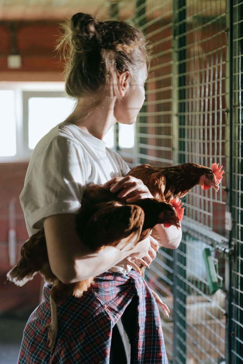 Scale Assistant – Grain Field Chickens Abattoir x1 Scale Assistant - Grain Field Chickens Abattoir