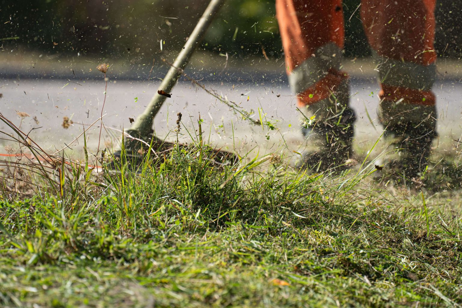 Horticulture Maintenance Services at Vaal Power Village and Eskom Vacant Houses