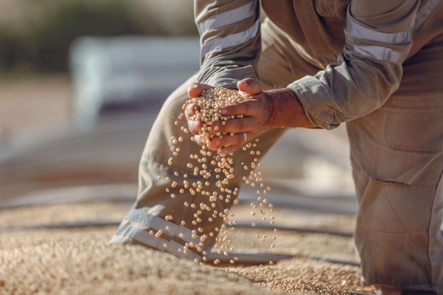 Production Officer - Seed Processing
