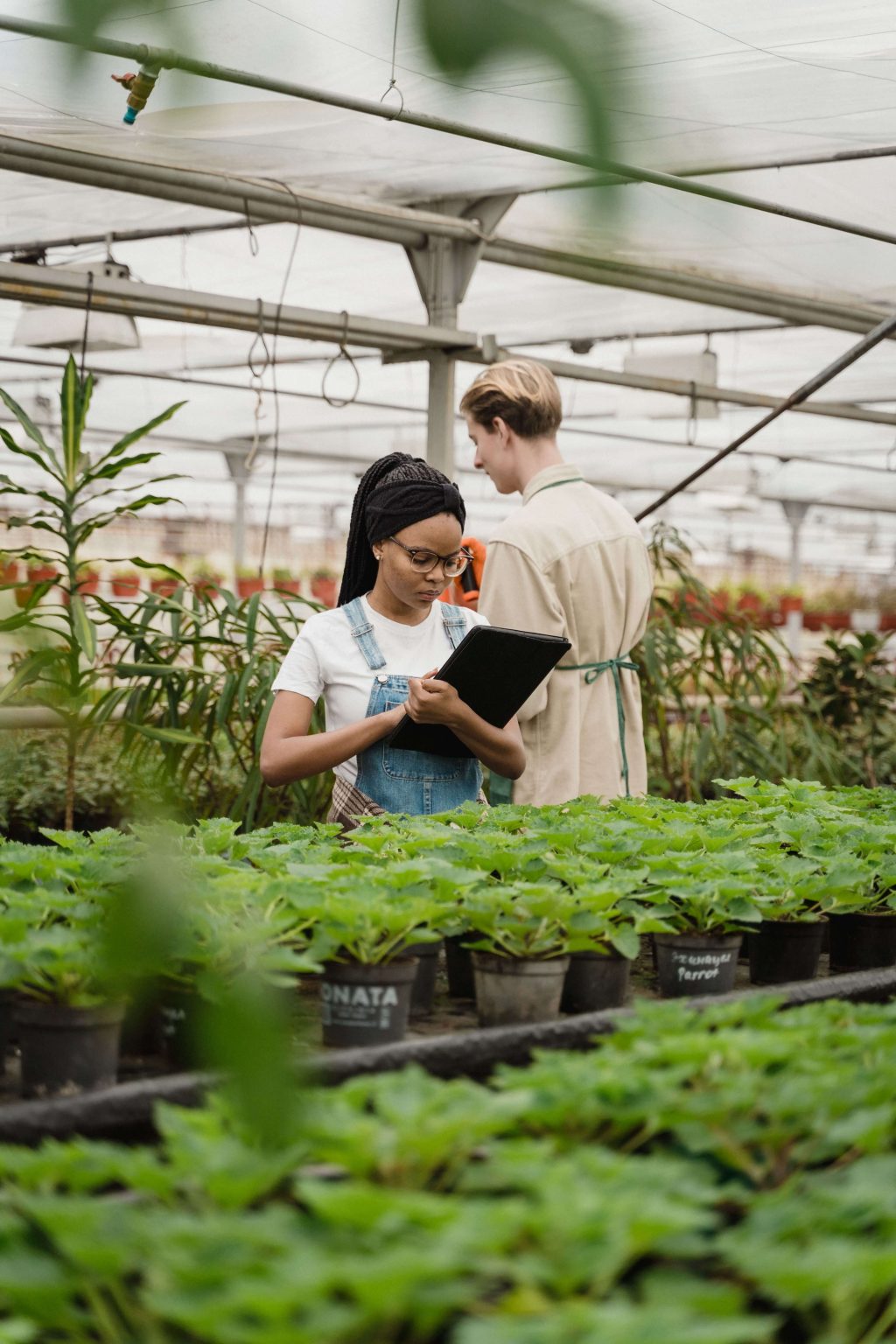 Internship Programme- Agriculture